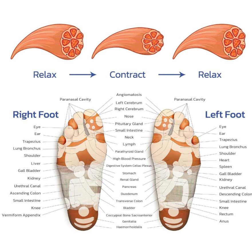 Body/ EMS Foot Massager